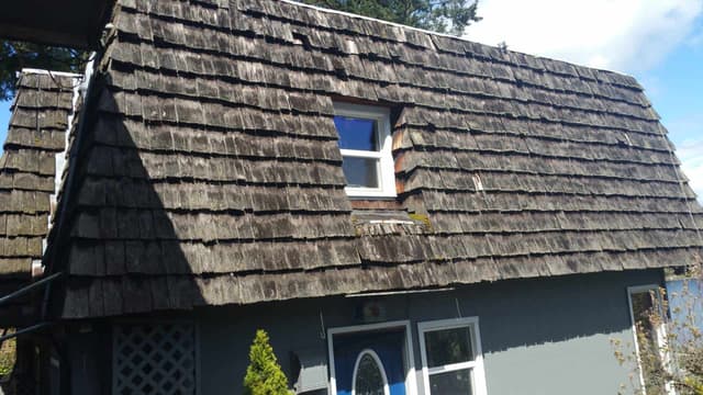 Aged cedar shake roof before replacement, photographed on site
